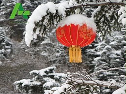 二零二一年 十二月(小)十五辛丑牛年 辛丑月 庚午日